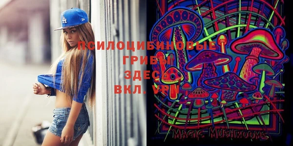 твердый Дмитриев