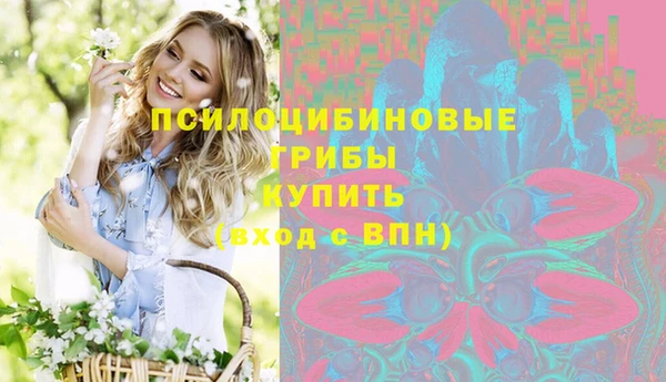 твердый Дмитриев