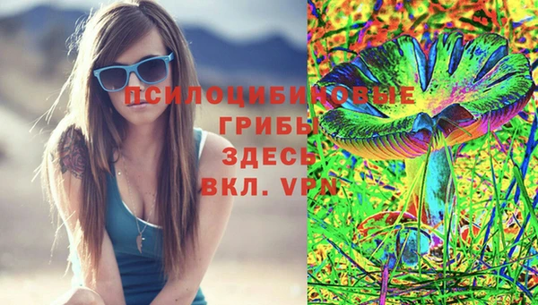твердый Дмитриев