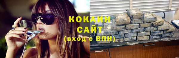 твердый Дмитриев