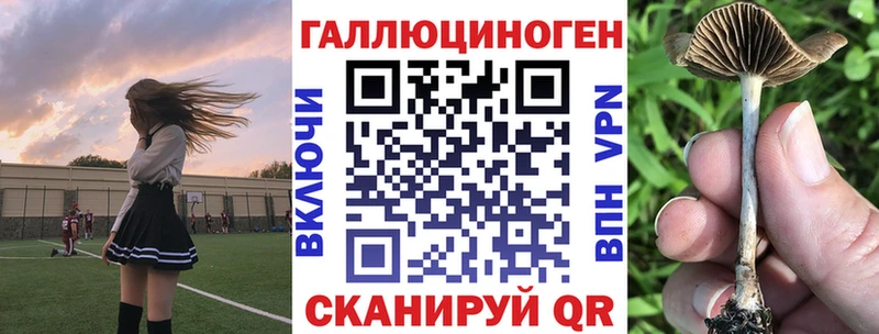 Галлюциногенные грибы мицелий  купить наркоту  Видное 