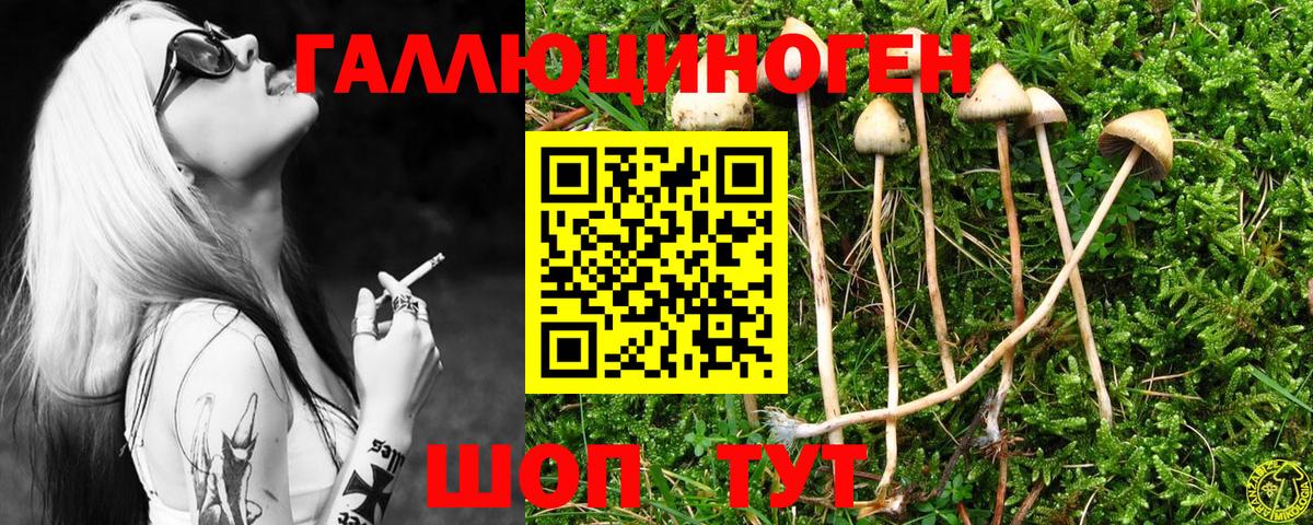Псилоцибиновые грибы MAGIC MUSHROOMS  Вход с VPN  Видное 