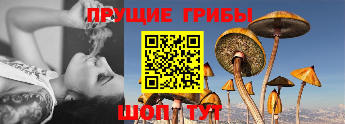 Галлюциногенные грибы GOLDEN TEACHER  Видное 